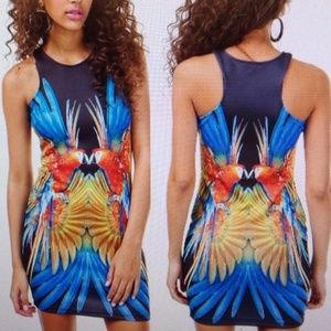 Juju & B Parrot Dress